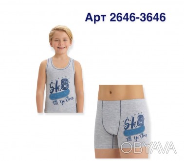 
Комплект белья для мальчика (трусики и маечка) Baykar арт 2646-3646
Комплект дл. . фото 1