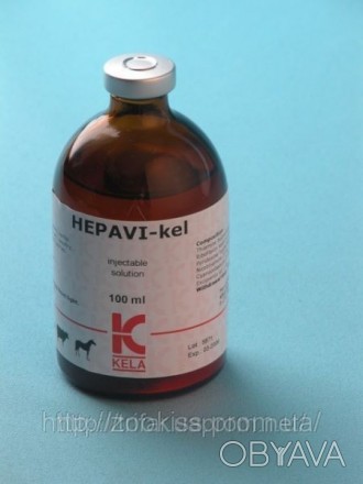 ГЕПАВІ-КЕЛ
Ін’єкційний розчин для ветеринарних цілей
СКЛАД: Тиаміну гідрохлорид . . фото 1