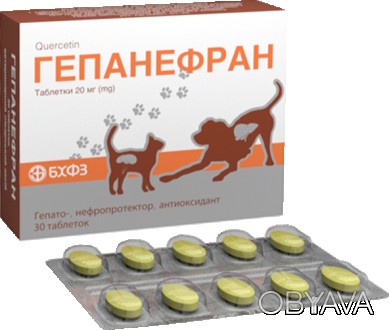 Гепанефран таблетки 20 мг No30