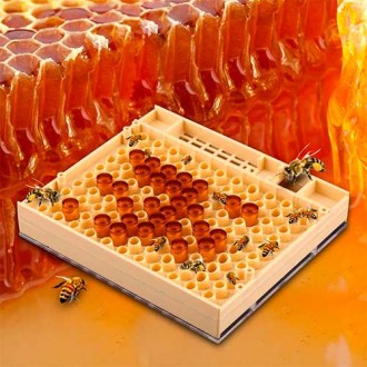 Система стандарта Никот/ Nicot особенно удобна для начинающих пчеловодов, потому. . фото 3