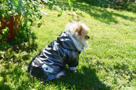 Ветровка для собак Мускат используется как дождевик на тонкой подкладке. Ткань н. . фото 8