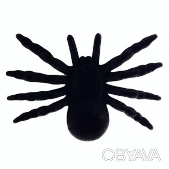 Павук чорний оксамитовий, декоративний 16-153 Красивий чорний павук для декору.. . фото 1