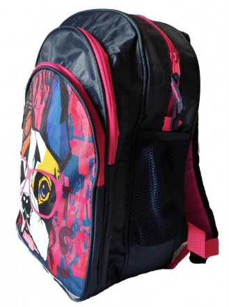 
Рюкзак шкільний для дівчинки Paso синій Представлений Вам шкільний рюкзак чудов. . фото 3
