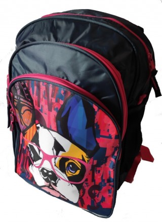 
Рюкзак шкільний для дівчинки Paso синій Представлений Вам шкільний рюкзак чудов. . фото 2