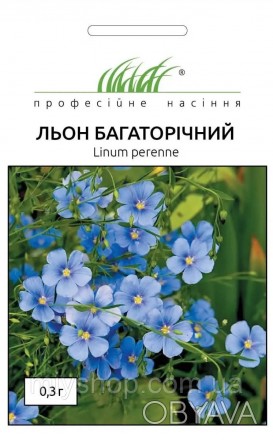 Многолетнее травянистое растение, высотой 50 см. Листья мелкие, линейно-ланцетны. . фото 1