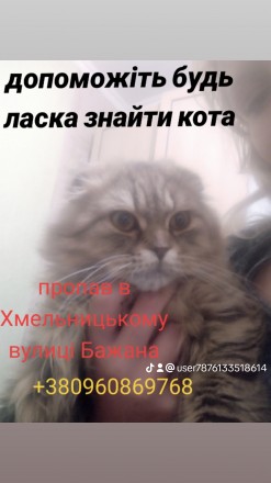 Допоможіть будь ласка знайти кота пропав в районі заготзерно. Хмельницький. фото 1 Допоможіть будь ласка знайти кота пропав в районі заготзерно. Хмельницький. фото 1
