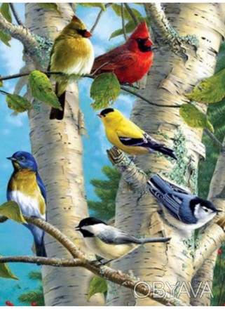 Товар на сайте >>>Раскраска по номерам 40*50см "Птички" OPP (холст на раме крас. . фото 1