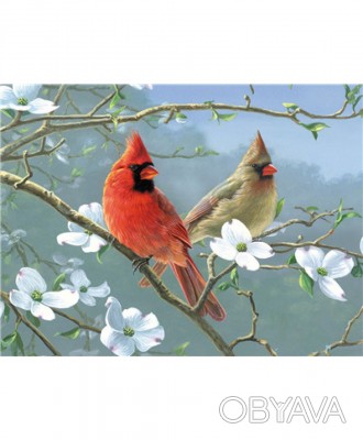 Товар на сайте >>>Раскраска по номерам 40*50см "Птички" OPP (холст на раме крас. . фото 1