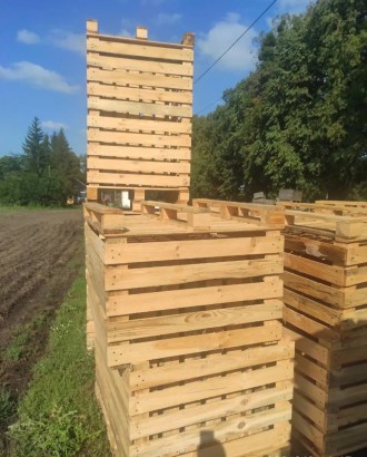 Ящики контейнери для фруктів овочів. Киев. фото 1 Ящики контейнери для фруктів овочів. Киев. фото 1