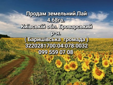 Продаж пай 4.68га. Київ. фото 1 Продаж пай 4.68га. Київ. фото 1