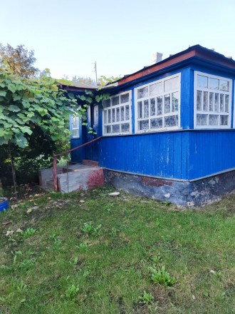 Будинок та земельна ділянка. Чернігівська область. Плиски. фото 1 Будинок та земельна ділянка. Чернігівська область. Плиски. фото 1