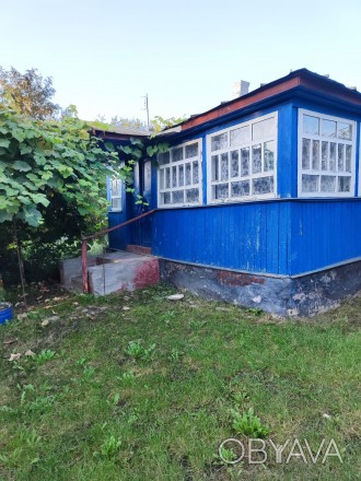 Будинок та земельна ділянка. Чернігівська область