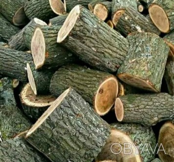 Продаємо дрова чурки різані 35- 40 см та дрова рубані.Торфобрикет від Маневицько. . фото 1
