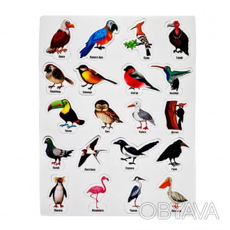 Набір магнітних фігурок "Птахи" від виробника Artos з реалістичними зображеннями. . фото 1