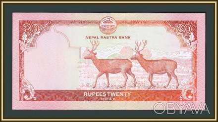Непал 20 рупий 2020г. UNC  №858
