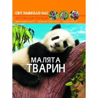 Енциклопедія Світ навколо нас. Малята тварин (укр) 20,5х26см 48стор арт.9499. Одеса. фото 1 Енциклопедія Світ навколо нас. Малята тварин (укр) 20,5х26см 48стор арт.9499. Одеса. фото 1
