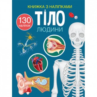 Книжка з наліпками Тіло людини (укр) 22,5х30м 24стор арт. 0466
 
Доступно розпов. . фото 2