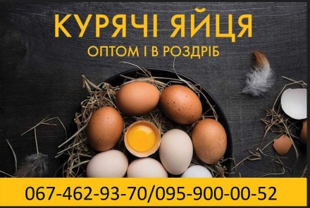 Яйця курячі столові різних категорій від виробника. Киев. фото 1 Яйця курячі столові різних категорій від виробника. Киев. фото 1