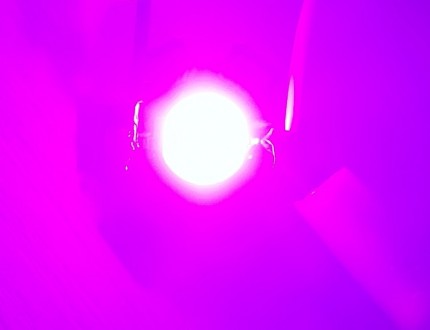 Розовый полный спектр 400-800nm 3W
Это светодиоды с широким диапазоном с пиками . . фото 6