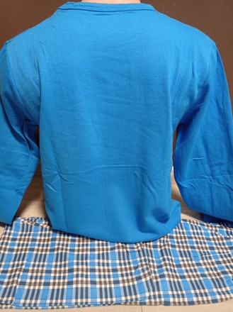 Мужская пижама теплая с микроначесом Турция Pijamia 100% хлопок размеры голубая
. . фото 3