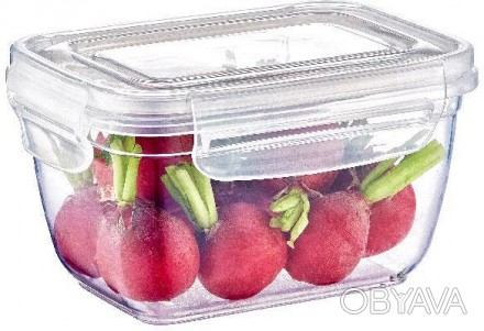 Пищевой контейнер Dunya Plastik Fresh Box 30221 Контейнер пищевой Dunya Plastik . . фото 1