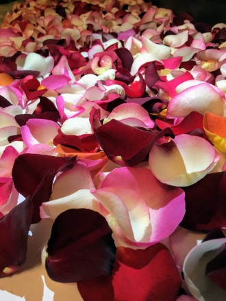 Лепестки роз уже давно являются главной идеей для оригинального и незабываемого . . фото 7