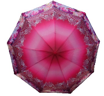 Женский зонт полуавтомат с прямой пластиковой ручкой на 9 спиц
Каркас зонта изго. . фото 2
