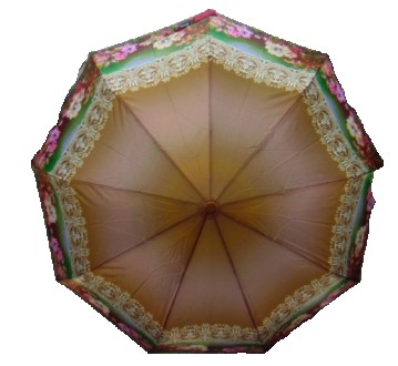 Женский зонт полуавтомат с прямой пластиковой ручкой на 9 спиц
Каркас зонта изго. . фото 2