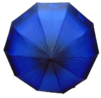 Женский зонт полуавтомат с прямой пластиковой ручкой на 10 карбоновых спиц
Карка. . фото 2