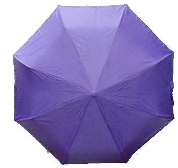 Женский зонт полуавтомат с прямой пластиковой ручкой на 8 пиц
Каркас зонта изгот. . фото 2