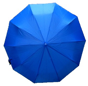 Женский зонт полуавтомат с прямой ручкой на 10 спиц из стали, углепластика и пла. . фото 4
