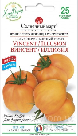 Винсент - это совсем другой помидор! Крупные светло-желтые томаты, иногда с розо. . фото 1