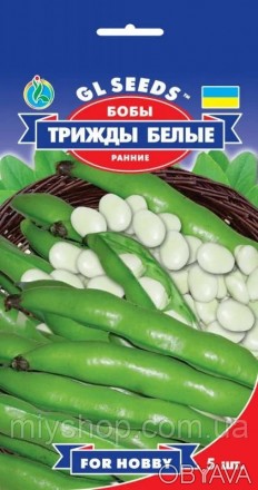 Популярний в Європі середньостиглий (80-90 днів) сорт. Кущ потужний, висотою до . . фото 1