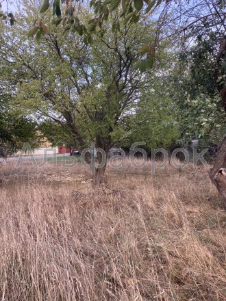 Продажа 2 участков земли в Киевской области, с. Неграши.
0.2500 га под строитель. . фото 14