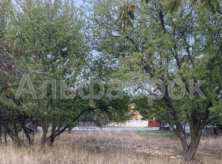 Продажа 2 участков земли в Киевской области, с. Неграши.
0.2500 га под строитель. . фото 5