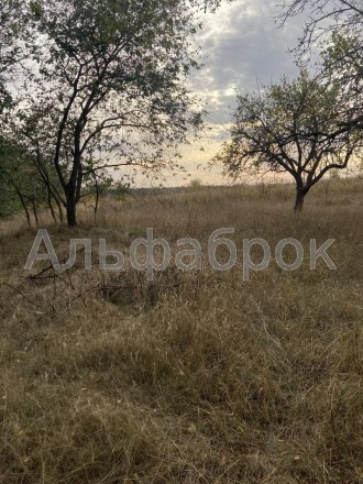 Продажа 2 участков земли в Киевской области, с. Неграши.
0.2500 га под строитель. . фото 10