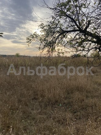 Продажа 2 участков земли в Киевской области, с. Неграши.
0.2500 га под строитель. . фото 12