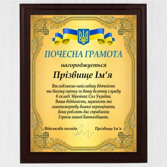 Диплом для солдата, військового, волантера металевий із дерев'яною основою
вигот. . фото 6