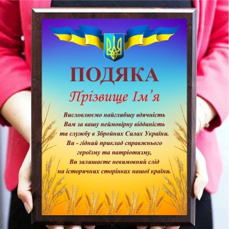 Диплом для солдата, військового, волантера металевий із дерев'яною основою
вигот. . фото 4