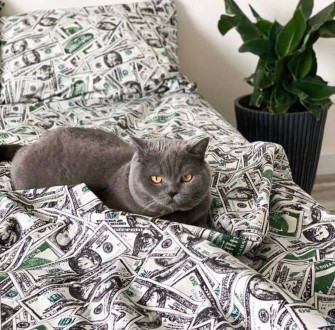 Постільна білизна полуторна долари. Киев. фото 1