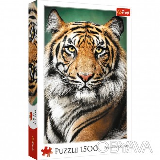 Пазли Портрет тигра від виробника Trefl Пазл на 1500 елементів із зображенням по. . фото 1
