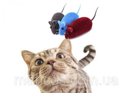 Набор игрушек для кошек "Мышка" с пищалкой 6 см Серая 5 шт
Состояние: новое
Цвет. . фото 2
