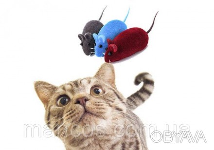 Набор игрушек для кошек "Мышка" с пищалкой 6 см Серая 5 шт
Состояние: новое
Цвет. . фото 1