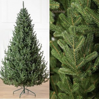 
Новогодняя елка — незаменимый атрибут в каждом доме в канун Новогодних и . . фото 2