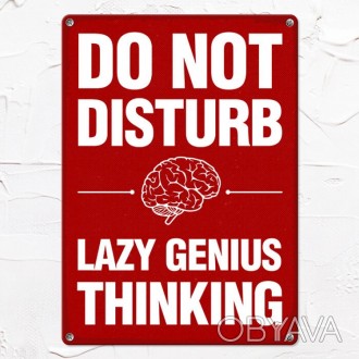 Табличка интерьерная металлическая Do not disturb Lazy genius thinking - будет я. . фото 1