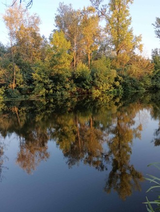 Затишний, цегляний будинок пл. 75 м. кв на4 кімнати. Дешево.. Полтава. фото 1 Затишний, цегляний будинок пл. 75 м. кв на4 кімнати. Дешево.. Полтава. фото 1