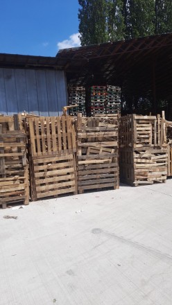 Дрова обрізки з під ремонту піддону. Киев. фото 1 Дрова обрізки з під ремонту піддону. Киев. фото 1