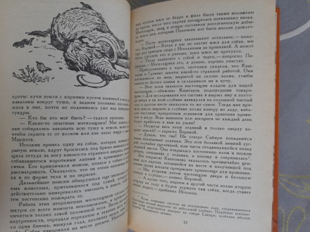 Состояние новой не читалась .оранжевая

М.: Детская литература (Москва), 1981 . . фото 7