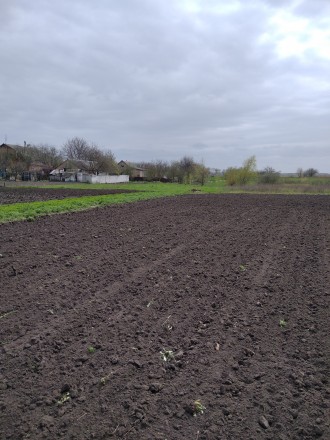 Територіально с.Брунівка (Лісові Поляни), 6 км від Південного вокзалу - сполучен. Кованьковка. фото 3