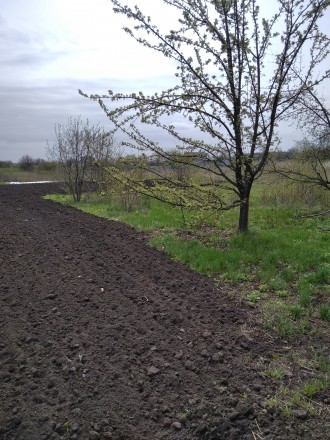 Територіально с.Брунівка (Лісові Поляни), 6 км від Південного вокзалу - сполучен. Кованьковка. фото 2